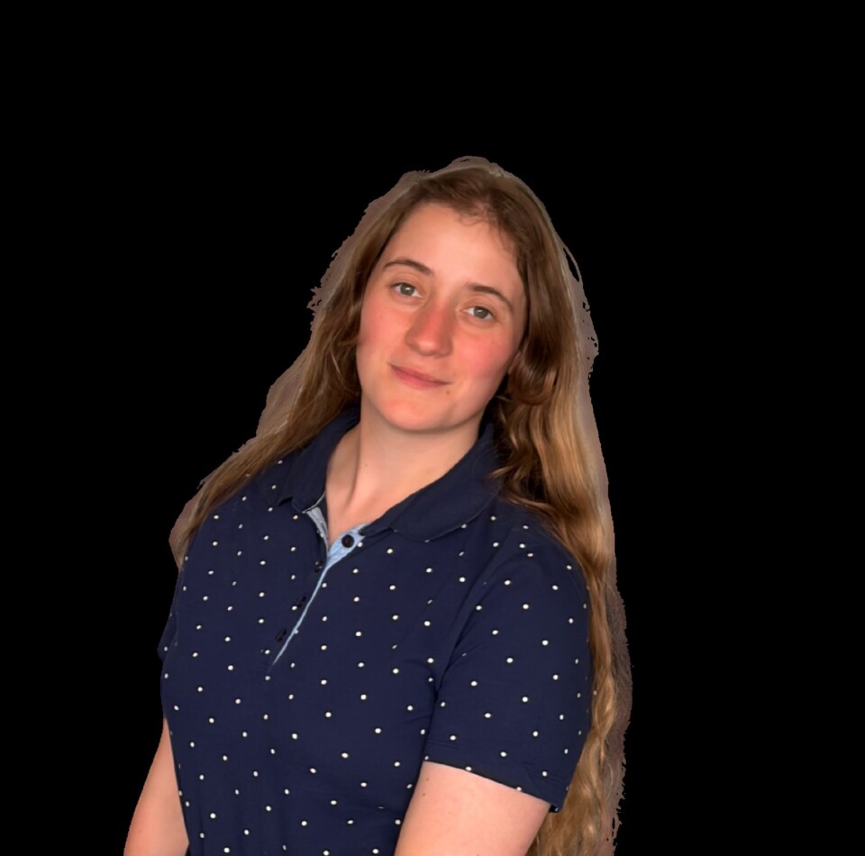 Foto website
